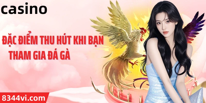Hình ảnh quảng cáo của suwin hiển thị nền tảng và các lợi ích
